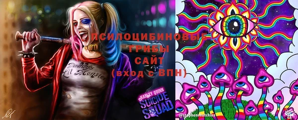 apvp Горно-Алтайск